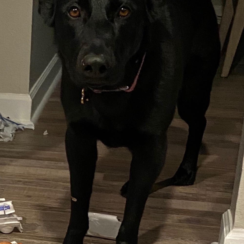 Meet your Posher, Tonya